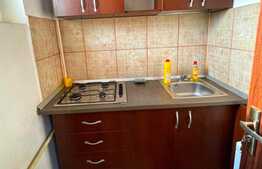 Garsoniera de 25.5 mp, pet friendly, zona English Park, Ultracentral!