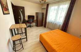 Garsoniera de 25.5 mp, pet friendly, zona English Park, Ultracentral!