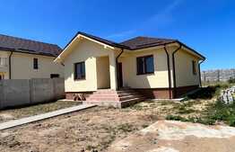 Case individuale la cheie pe parter, 460 mp teren, zona Cârcea