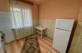 Apartament de 2 camere, 56 mp, centrala termică, Brazda Lui Novac