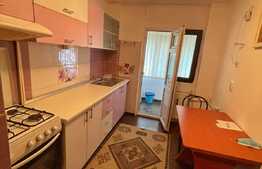Apartament 2 camere, 45 mp,  Calea Bucuresti - Rotunda