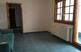 Apartament de 2 camere, semidecomandat in Brazda lui Novac