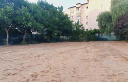 Teren construibil P + 2 + M, 545 mp, Craiovița Nouă