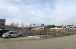 Teren intravilan de 2.195 mp, Valea Roșie