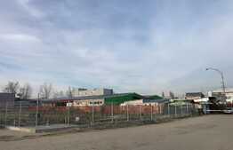 Teren intravilan de 2.195 mp, Valea Roșie