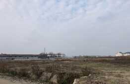 Teren intravilan, 16000 mp, front de peste 100 ml, Calea Severinului