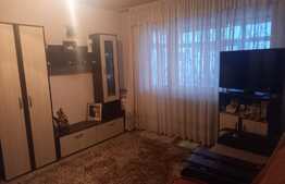 Apartament de 2 camere, semidecomandat, in Brazda lui Novac!