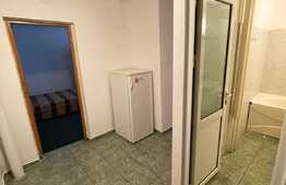 Garsoniera pet friendly, decomandata, 50 mp, Rovine, zona parculet