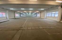 Hala cu birouri, 1000 mp, acces tir, pretabila pentru depozitare sau productie, zona Calea Severinului
