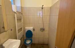 Hala cu birouri, 1000 mp, acces tir, pretabila pentru depozitare sau productie, zona Calea Severinului