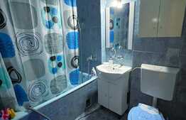 Garsoniera moderna de 30 mp, pet friendly, Rovine