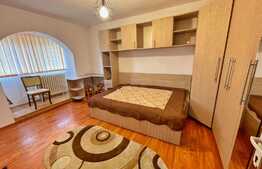 Garsoniera moderna de 30 mp, pet friendly, Rovine
