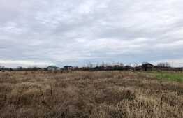 Teren intravilan 2.500 mp, la malul Jiului, Malu Mare