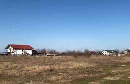 Teren intravilan 2.500 mp, la malul Jiului, Malu Mare