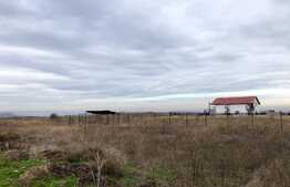 Teren intravilan 2.500 mp, la malul Jiului, Malu Mare