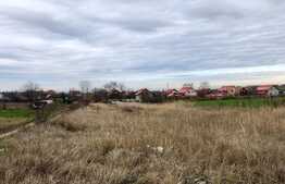 Teren intravilan 3.800 mp, zonă liniștită, Malu Mare