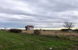 Teren intravilan 3.800 mp, zonă liniștită, Malu Mare