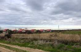 Teren intravilan 3.800 mp, zonă liniștită, Malu Mare