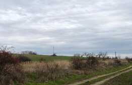 Teren intravilan 3.800 mp, zonă liniștită, Malu Mare