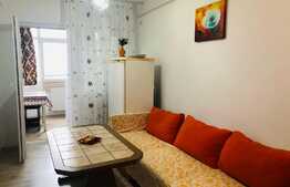 Garsoniera spatioasa de 49 mp, mobilata modern, zona 1 Mai 