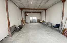 Spatiu industrial, 70 mp, zona Facultatii de Medicina