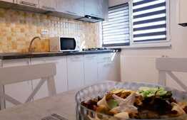 Garsoniera spatioasa si moderna, 45 mp, zona Craiovita