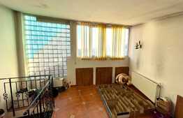 Casa de 159 mp, 434 mp teren, zona Parcului Romanescu!