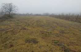 Teren intravilan de 1048 mp, Carcea!