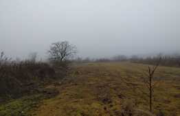 Teren intravilan de 1048 mp, Carcea!