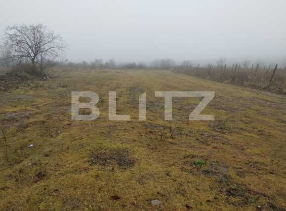 Teren de vânzare Carcea  - 77169TV | BLITZ Craiova | Poza1