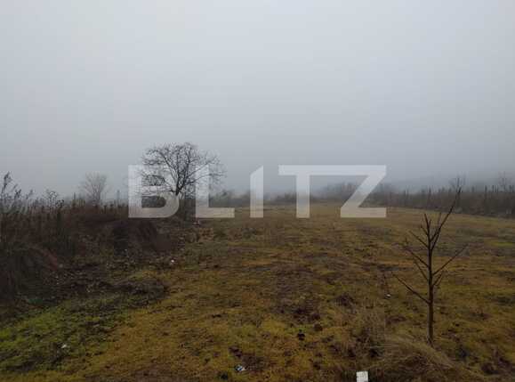 Teren de vânzare Carcea  - 77169TV | BLITZ Craiova | Poza2