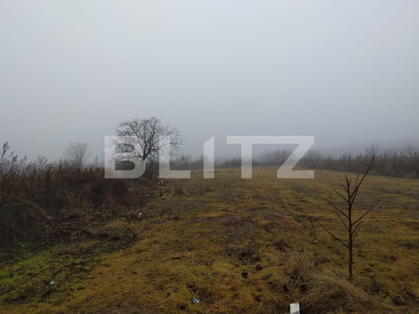 Teren de vânzare Carcea  - 77169TV | BLITZ Craiova | Poza2