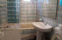 Apartament de 3 camere, parter, zona Piata Rovine