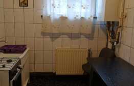 Apartament de 3 camere, parter, zona Piata Rovine