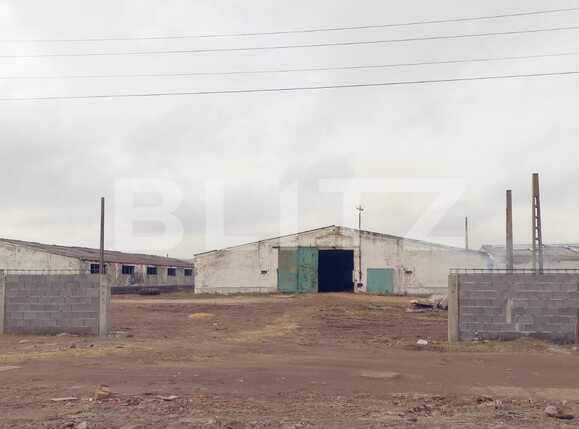 Spațiu industrial de vânzare Exterior Sud - 77263SVI | BLITZ Craiova | Poza1