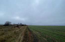 Teren intravilan pretabil parc fotovoltaic, 41.000 mp, Ișalnița - E70