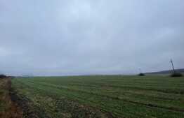 Teren intravilan pretabil parc fotovoltaic, 41.000 mp, Ișalnița - E70