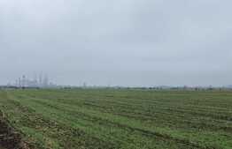 Teren intravilan pretabil parc fotovoltaic, 41.000 mp, Ișalnița - E70