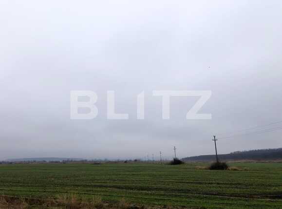 Teren de vânzare Isalnita - 77264TV | BLITZ Craiova | Poza5