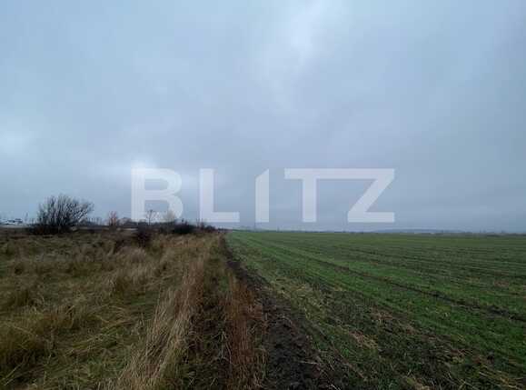 Teren de vânzare Isalnita - 77264TV | BLITZ Craiova | Poza9