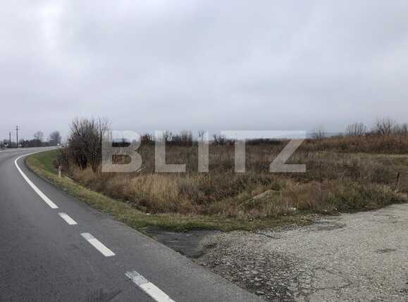 Teren de vânzare Isalnita - 77264TV | BLITZ Craiova | Poza2