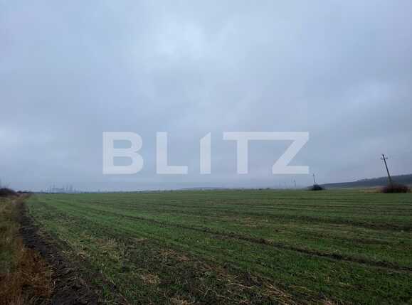 Teren de vânzare Isalnita - 77264TV | BLITZ Craiova | Poza8