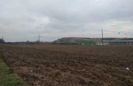 Teren intravilan de 13.000 mp, zona Parcul Tineretului