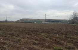 Teren intravilan de 13.000 mp, zona Parcul Tineretului