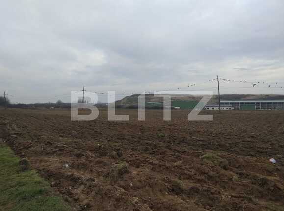 Teren de vânzare Mofleni - 77400TV | BLITZ Craiova | Poza1