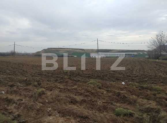 Teren de vânzare Mofleni - 77400TV | BLITZ Craiova | Poza2