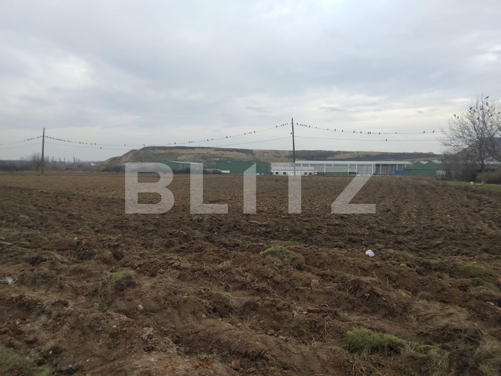 Teren de vânzare Mofleni - 77400TV | BLITZ Craiova | Poza2