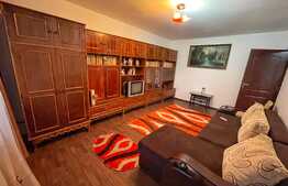 Apartament 2 camere, centrala proprie, aer conditionat, Sarari!