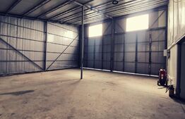 Hala moderna 250 mp utili si 1300 mp teren, zona Peugeot!