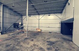 Hala moderna 250 mp utili si 1300 mp teren, zona Peugeot!